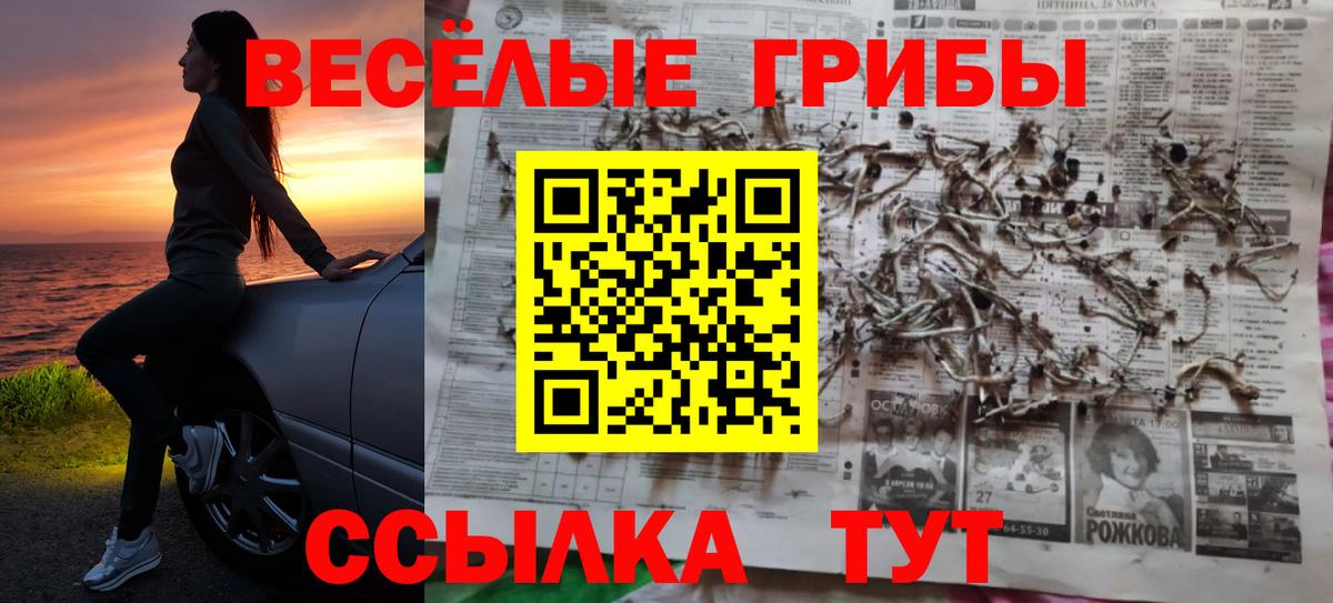 Галлюциногенные грибы Magic Shrooms  Вход с VPN  Феодосия  Галлюциногенные грибы Psilocybine cubensis 