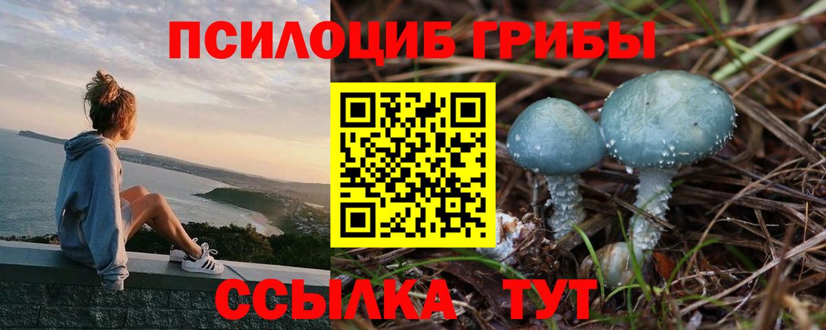 Галлюциногенные грибы ЛСД Феодосия